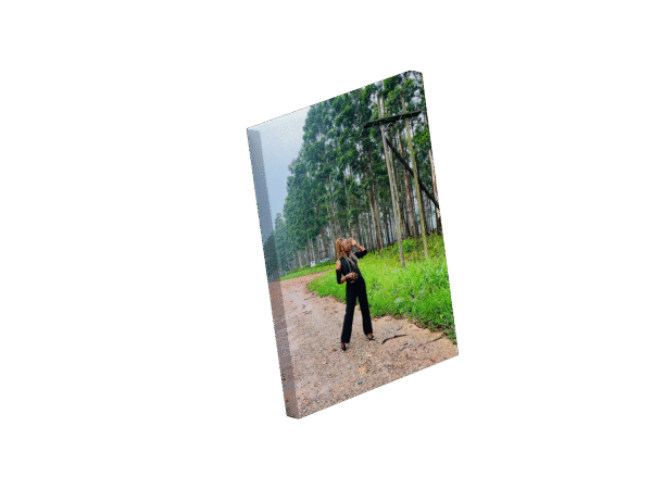 Looking for canvas shop