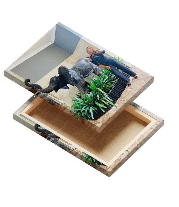 Where to print canvases in Giyani